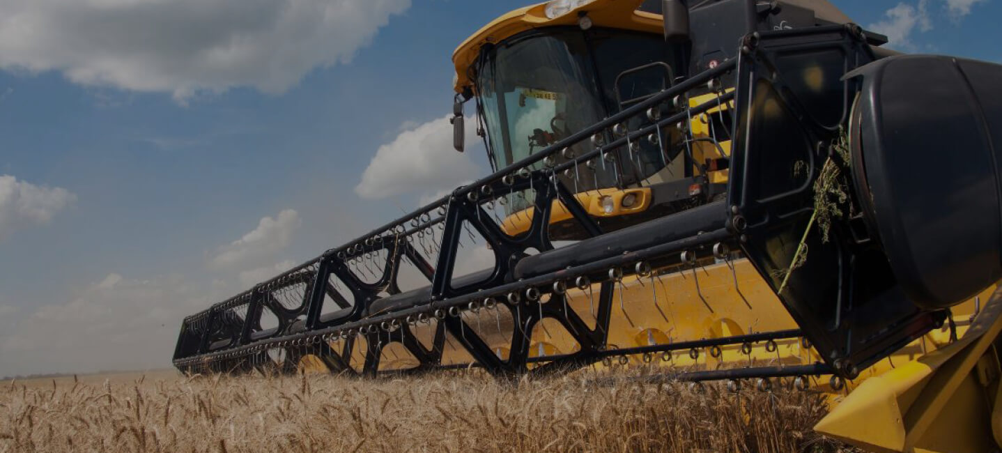 Combine harvester in field