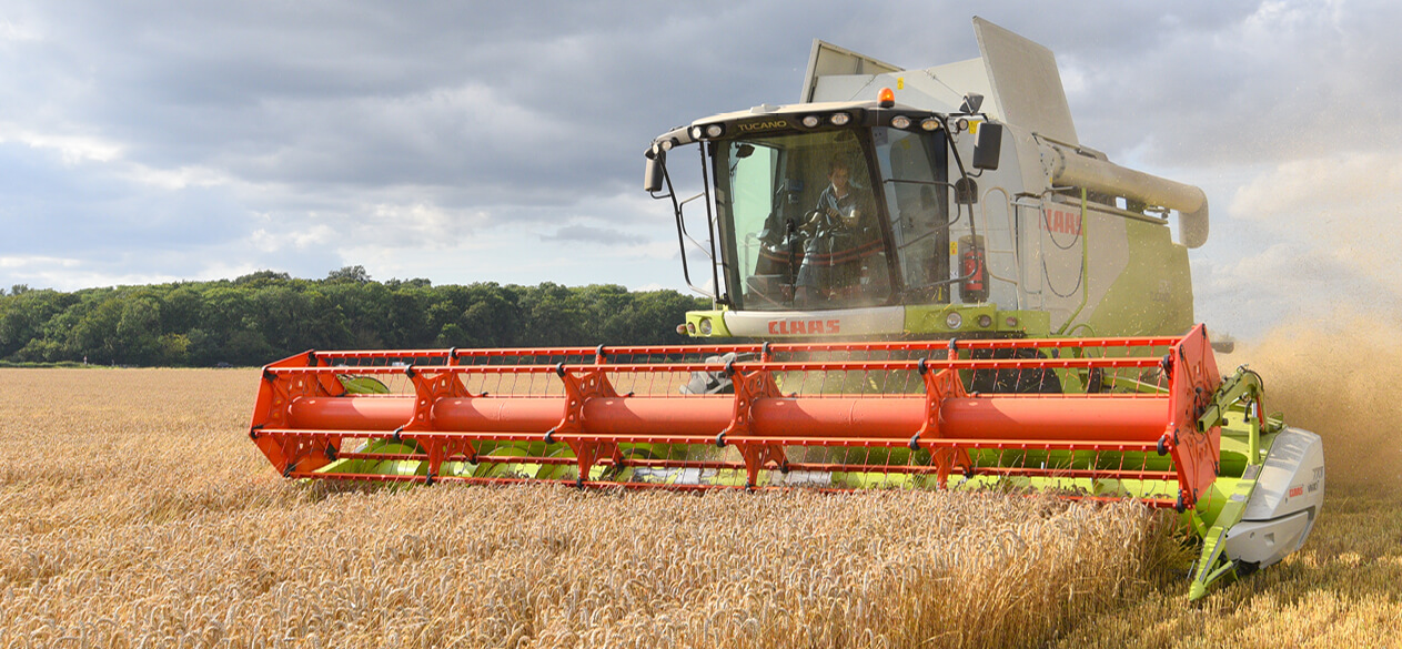 Combine harvester in field