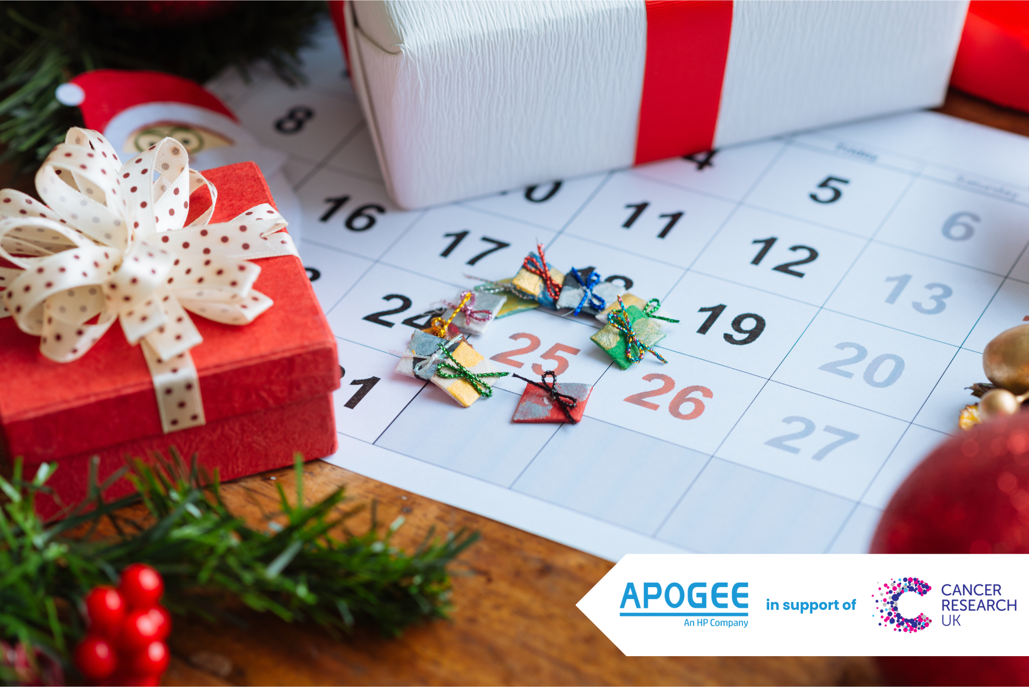 Apogee christmas charity advent calendar