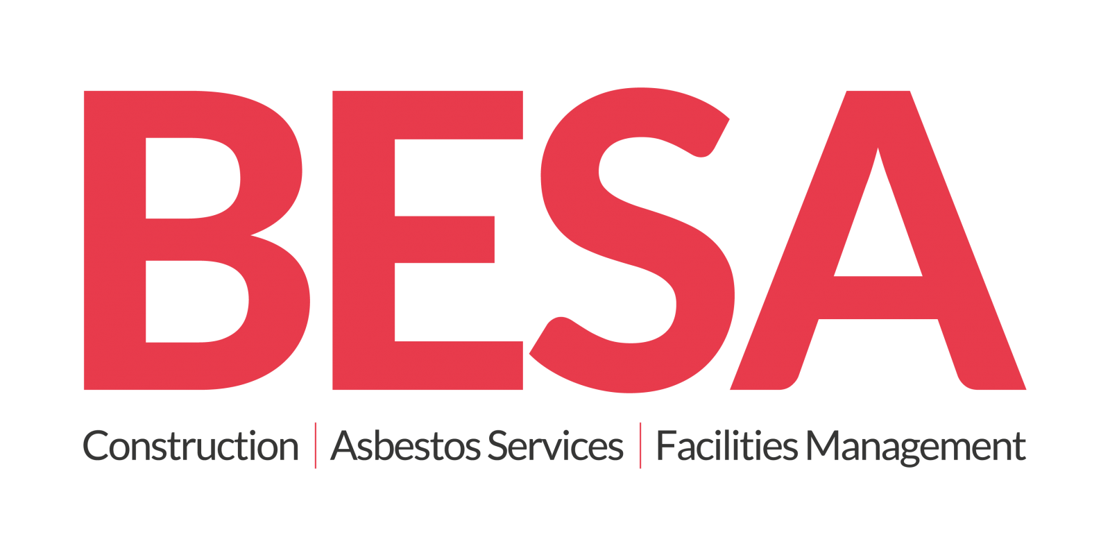 Besa logo