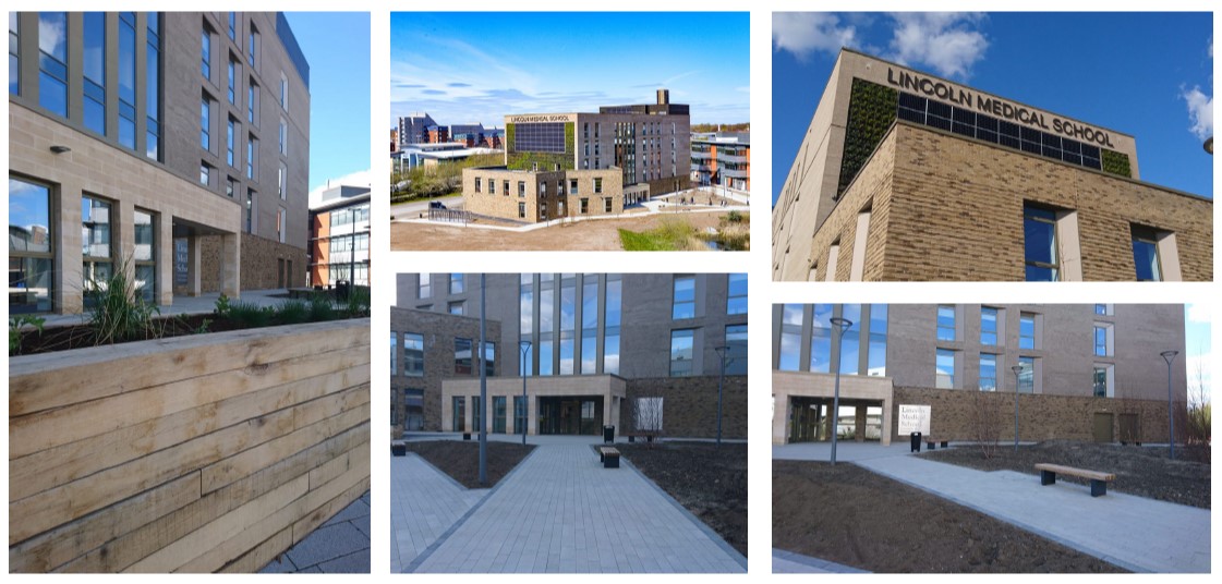 Lincoln medical school