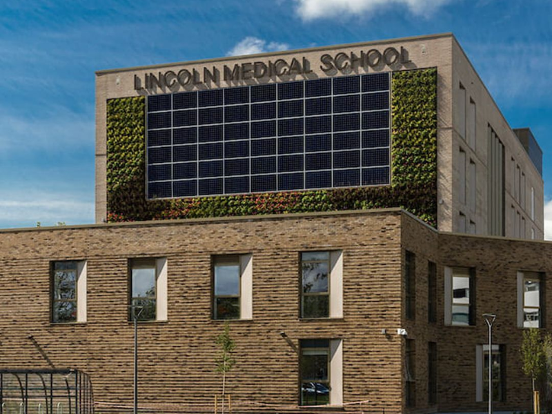 lincoln medical school