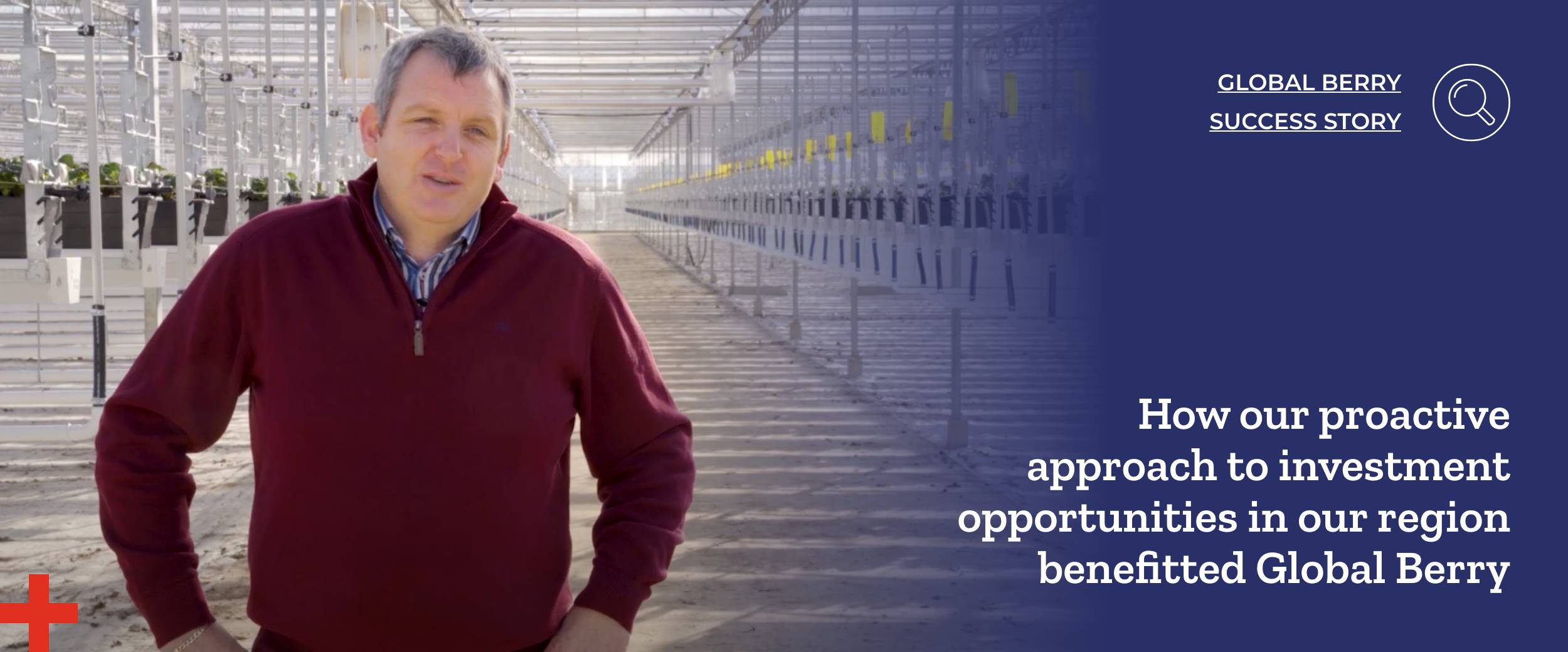 How our proactive approach to investment opportunities in our region benefitted Global Berry