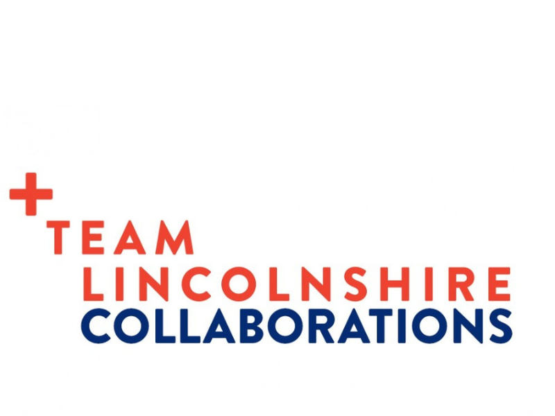 Team Lincolnshire Collaborations logo