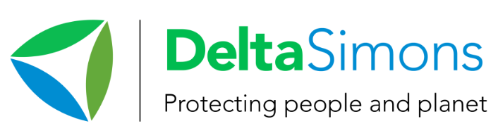 DeltaSimons logo