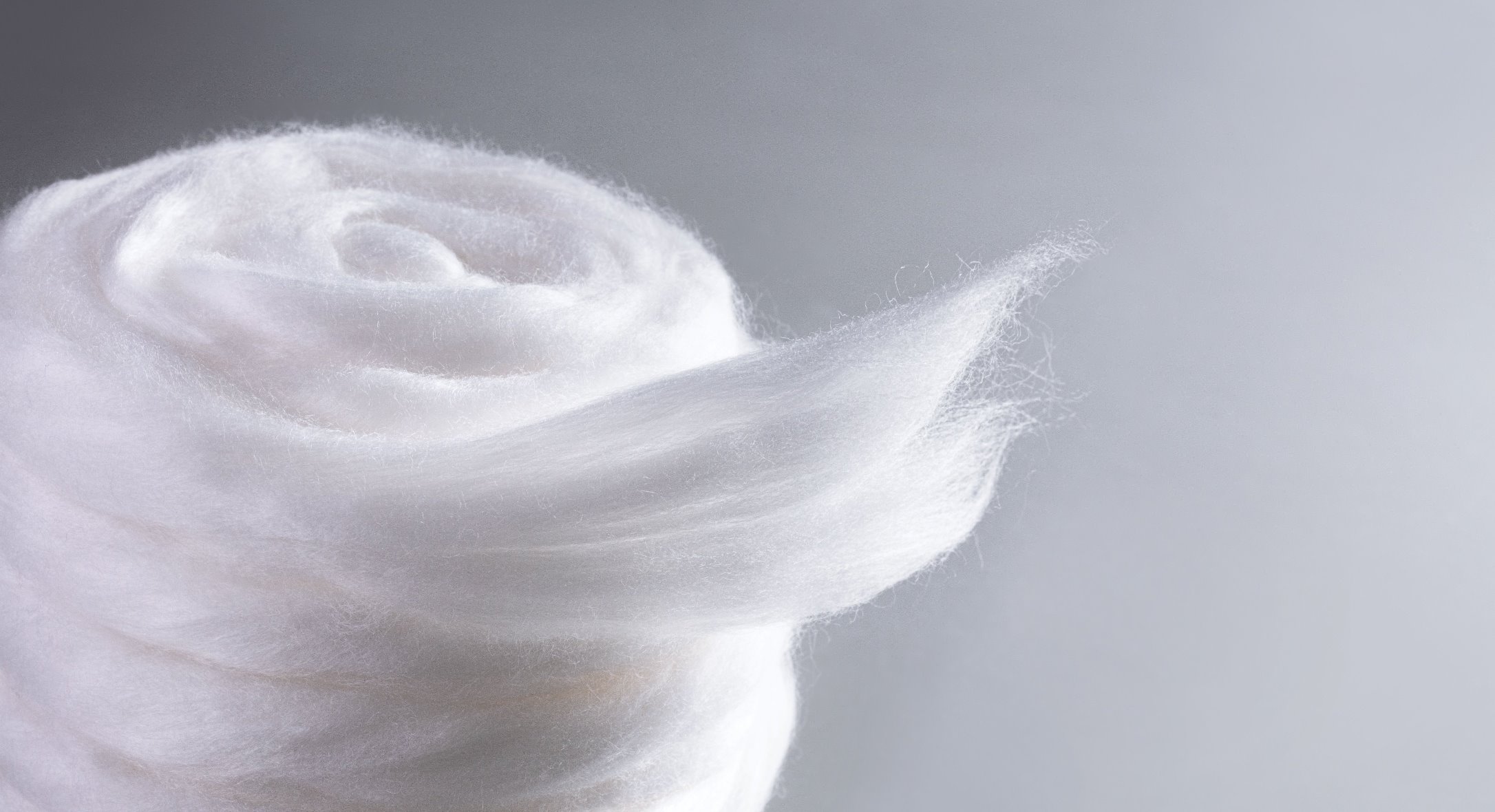 Lenzing Fibers