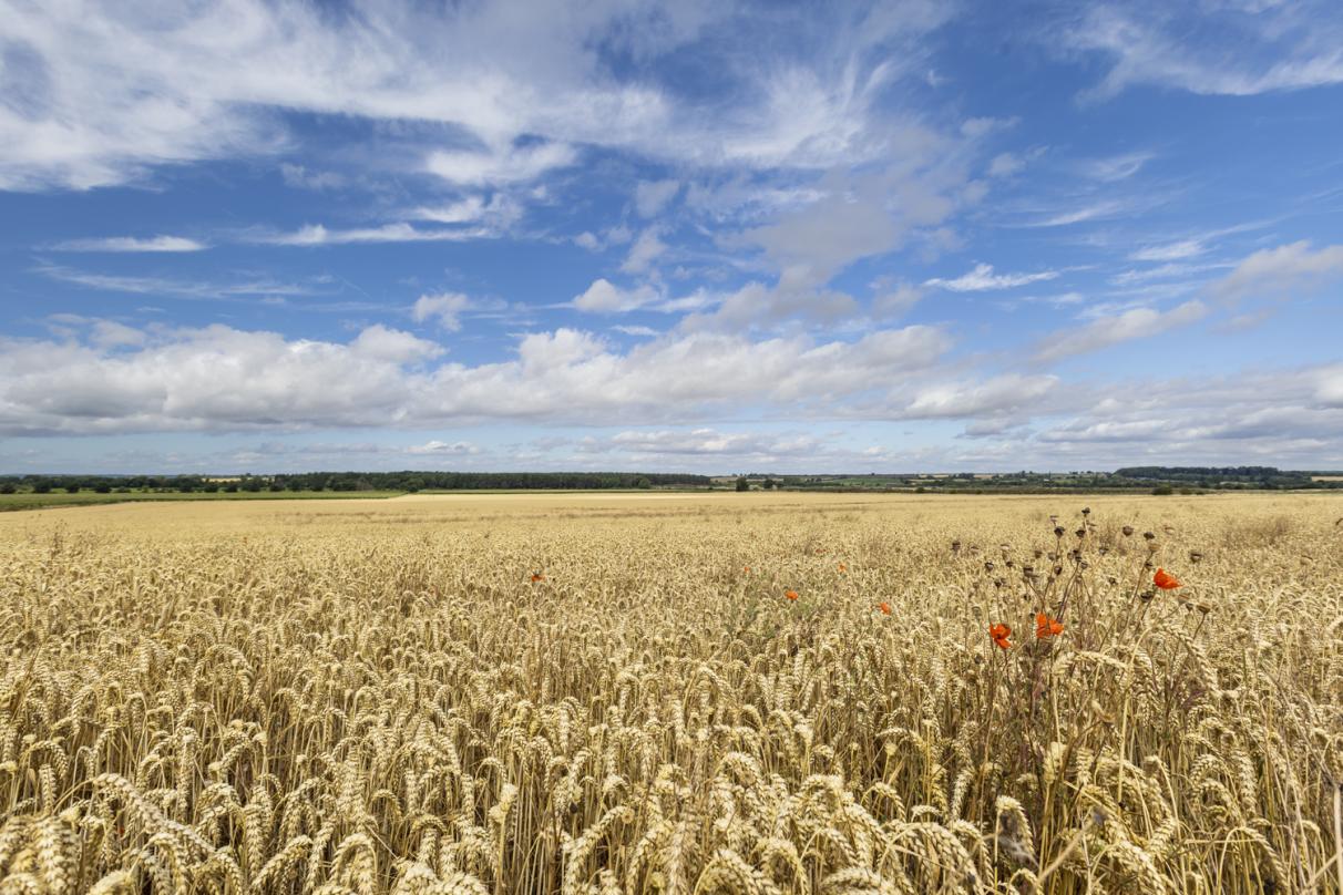 New agricultural zone